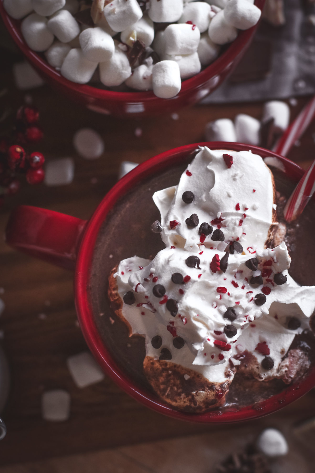 Disneyland Hot Chocolate Lolo Home Kitchen