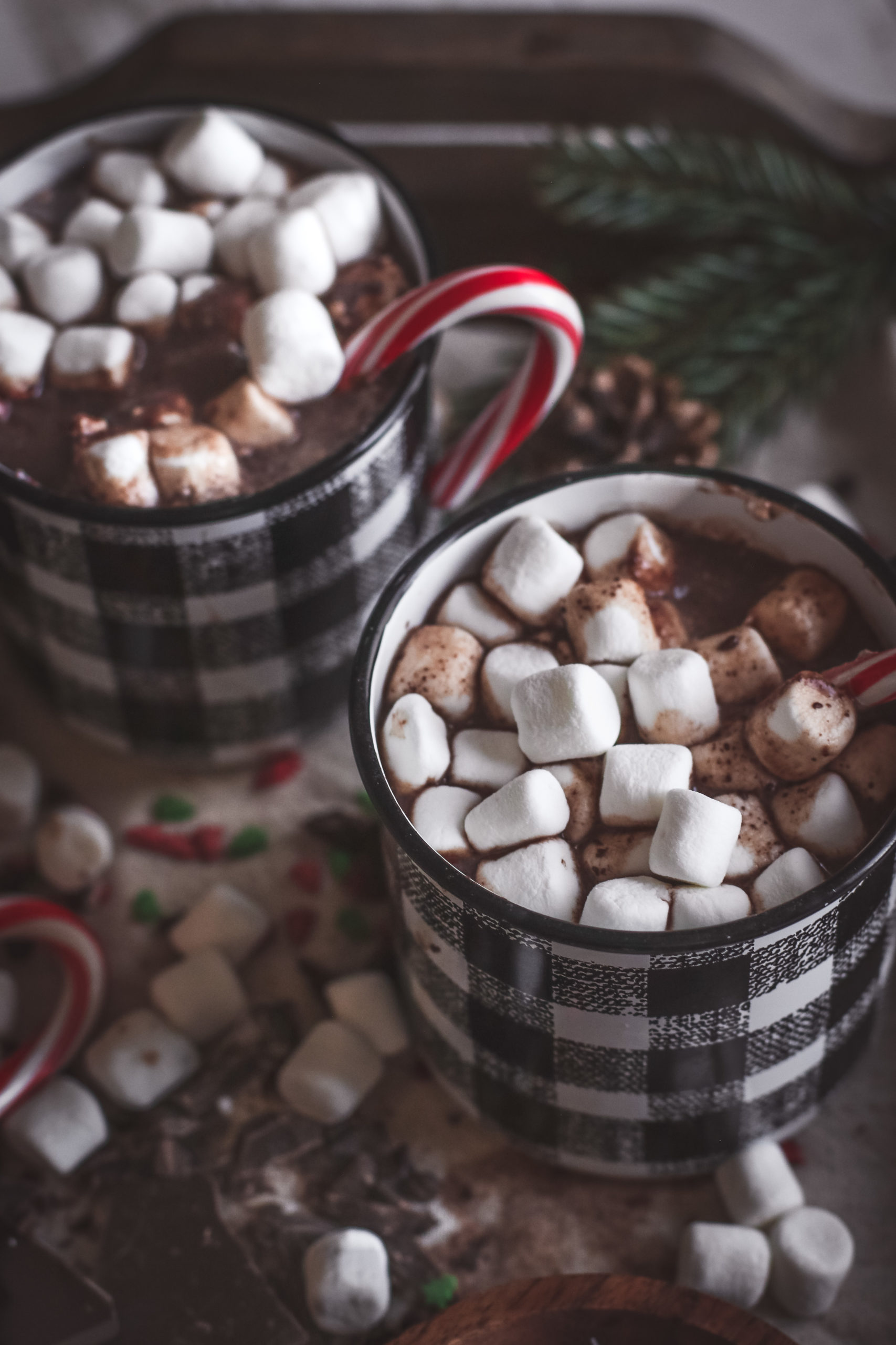 overhead view of a large mug of hot chocolate topped with whipped cream and peppermint