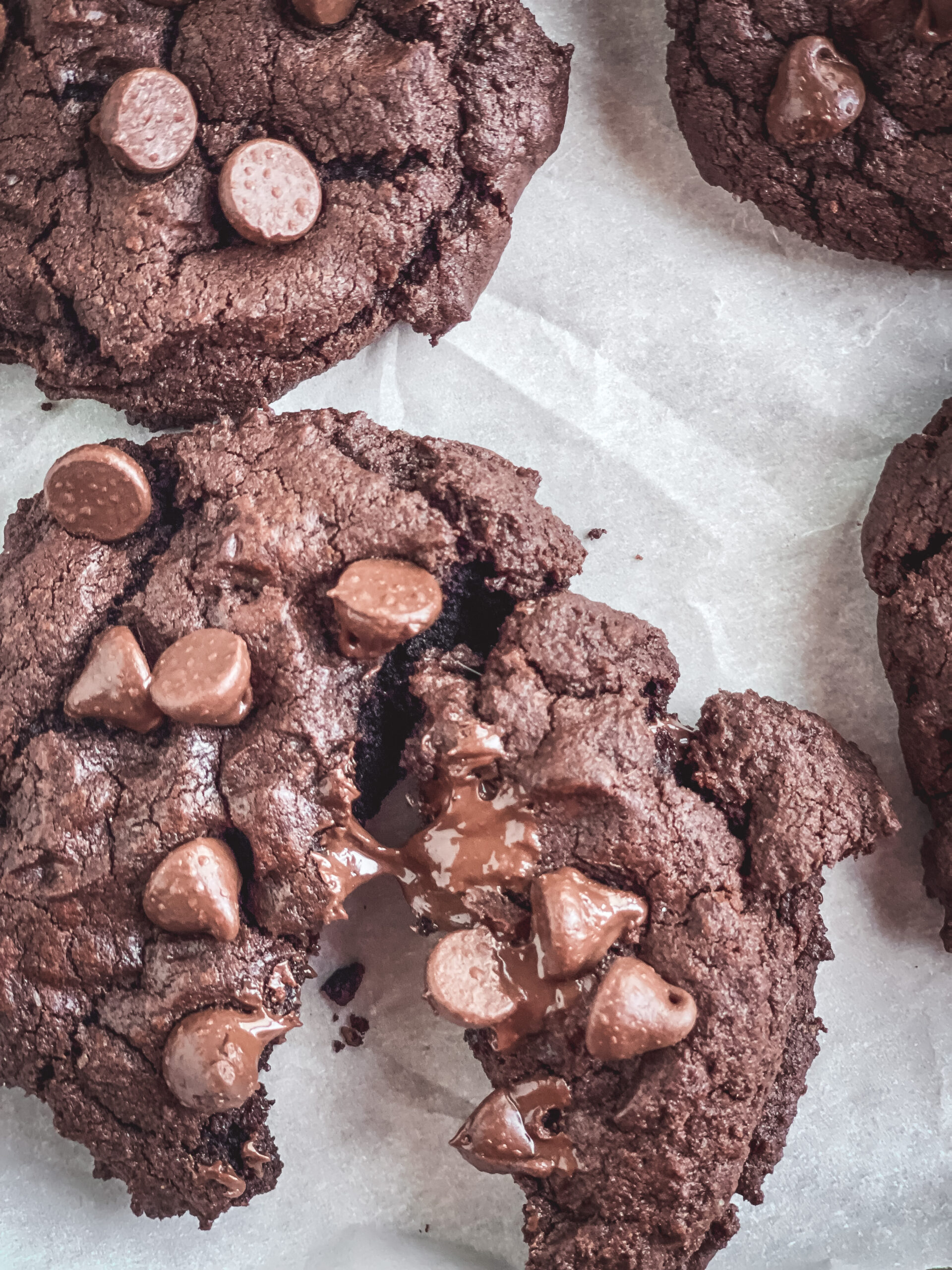 https://lolohomekitchen.com/wp-content/uploads/2023/03/Double-Chocolate-Cookies-1-scaled.jpg