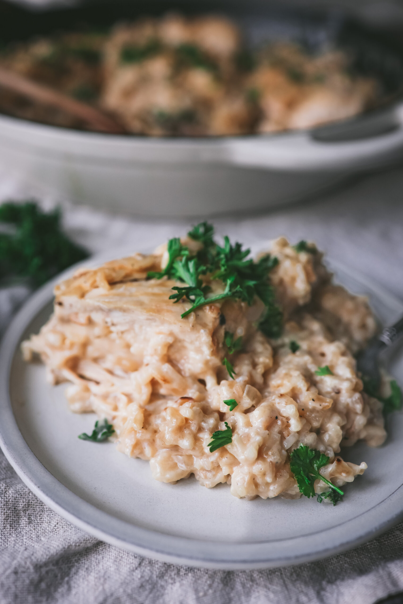 Parmesan Chicken and Rice Recipe